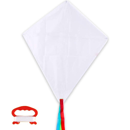 DIY Kite Kits for Kids&Adults Making Kit Bulk,Easy to Fly Large Kites with Long Tail，Kites for Kids Ages 4-8-12，Beach Kite for Outdoor Games and Activities
